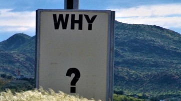 Stop With Why