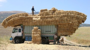 Mensch ontwikkelt door in 2025   