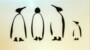 Binnenkijken bij Everybody likes Penguins
