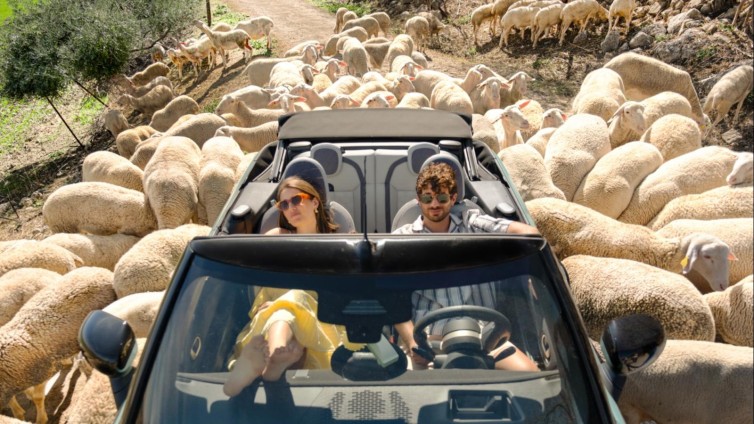 Zelfs als alles misgaat blijft Sunny Cars relaxed (en meer campagnes)