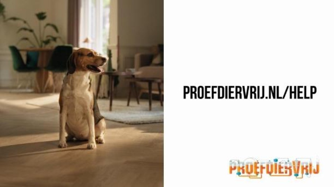 Proefdiervrij