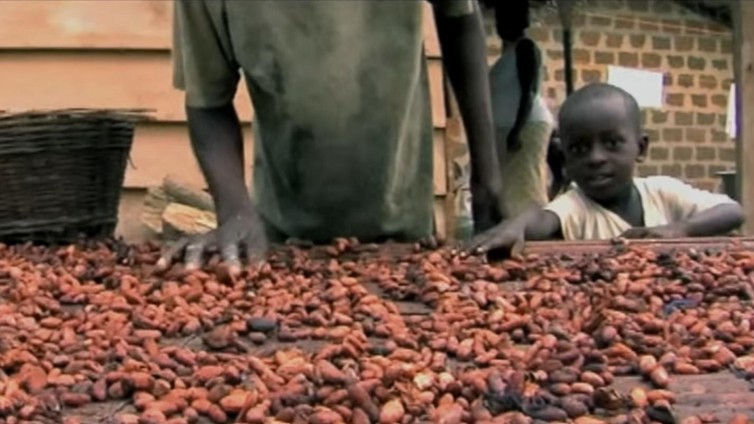 Doelstelling: uitbannen slavernij in de cacao-industrie