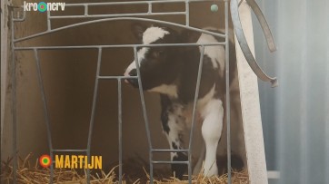 Wakker Dier wil boetes voor boeren uit Boer zoekt Vrouw wegens behandeling kalfjes
