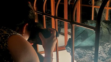 De T-rexhandtas die de wereld niet redt, maar wel de aandacht grijpt