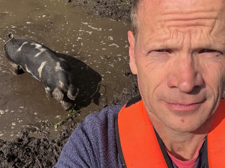 'Varkers zijn slimmer dan een hond en herkennen zichzelf in de spiegel'