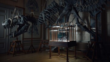 Waarom een handtas van T-Rex-leer twee PR Lions won