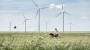 Vattenfall schrapt claim ‘Fossielvrij leven binnen één generatie’ na gesprekken met ACM