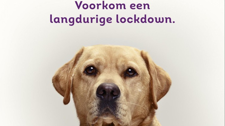 KNGF Geleidehonden lanceert donatiecampagne ‘Lockdown’ 