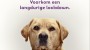 KNGF Geleidehonden lanceert donatiecampagne ‘Lockdown’