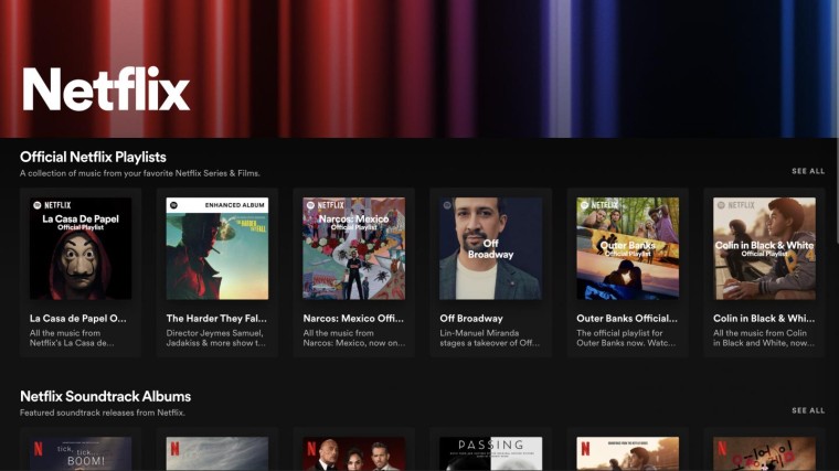 Spotify Netflix hub