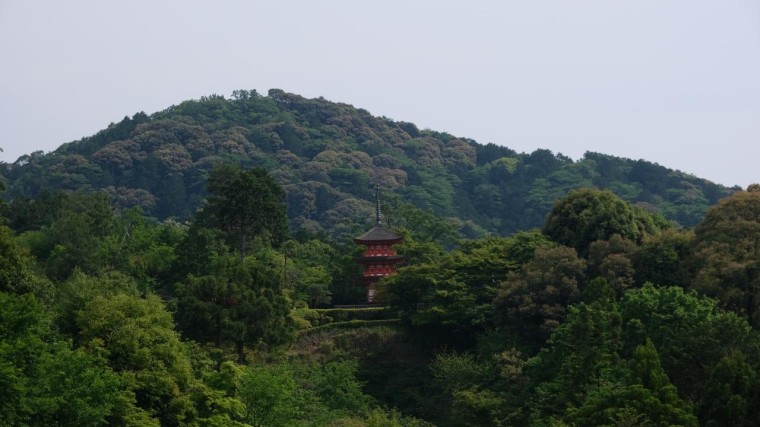 Japan is tot op de dag van vandaag voor ongeveer tweederde van het land bedekt met bossen