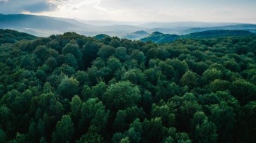 Marketing toegankelijk maken voor kleine groene merken