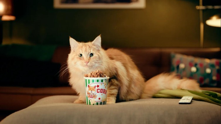 SAN Accent: KPN, TBWA\Neboko en Kruidvat grote winnaars