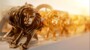 Liveblog Cannes: Nederland direct vertegenwoordigd op eerste shortlists