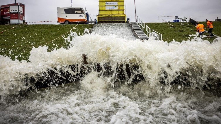 Proef bij Waterschap Rivierenland om te zien hoe bloemrijke dijken bestand zijn tegen wateroverlast