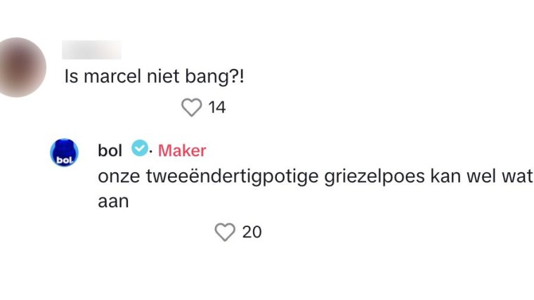 bol6