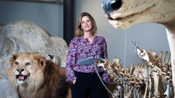 De 6 uitgekiende communicatiekeuzes van het vernieuwde Naturalis