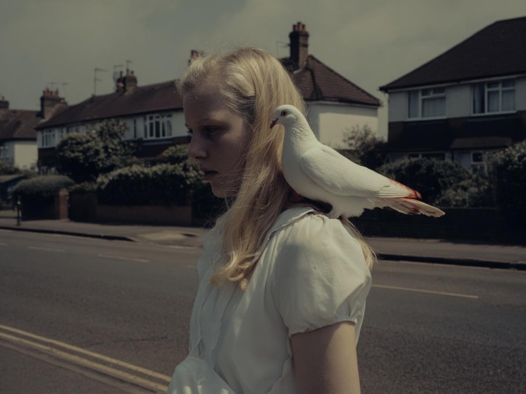 Blond girl with dove - 'Ik heb echt een ontzettende haat-liefdeverhouding met AI'