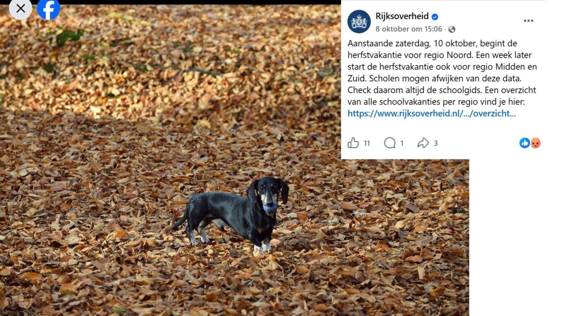 Het meest recente bericht van de Rijksoverheid op Facebook