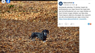 Rijksoverheid blijft Facebook gebruiken ondanks grote privacyzorgen