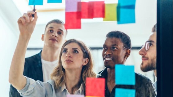 Effectief samenwerken in teams