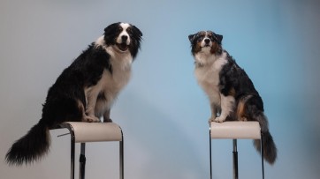 Purina (Nestlé) start contentserie over huisdieren: 'PET talks'