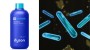 Nieuw product. Gelukt? Dyson 02 Probiotic