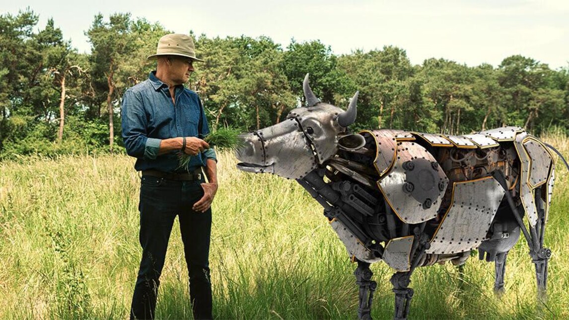 Jaap Korteweg, Vegan Cowboy