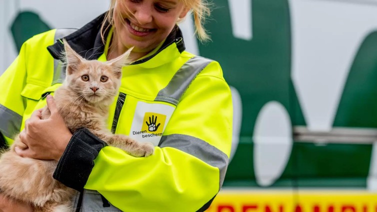 Dierenbescherming: voorkom samen dierenleed