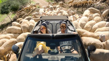 Zelfs als alles misgaat blijft Sunny Cars relaxed (en meer campagnes)