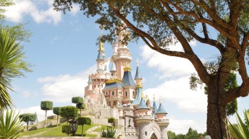 Twitter schrapt bedrijfsuitje in Disneyland met 7500 man