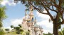 Twitter schrapt bedrijfsuitje in Disneyland met 7500 man