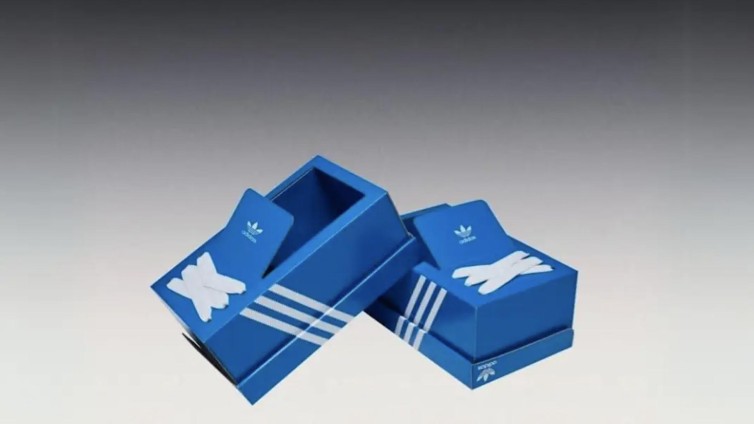 The Box Shoe