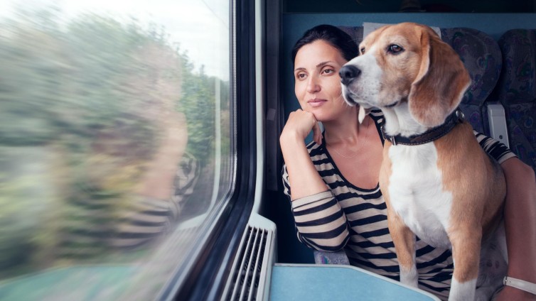 Met de trein