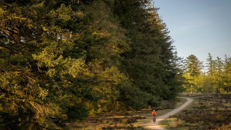 'De geur van het bos in de verschillende seizoenen brengt me rust'