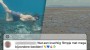 Floris Göbel en WWF maken diepe indruk met video over oceaan: 'Samen kunnen we dit!'