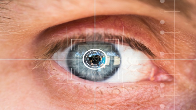 Shutterstock eye tracking