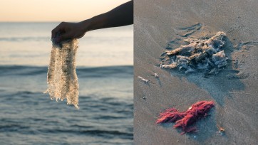 Wat als je plastic zou kunnen vervangen door zeewier?