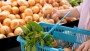 Ahold-topman: ‘Grote prijsstijgingen supermarkt voorlopig voorbij’