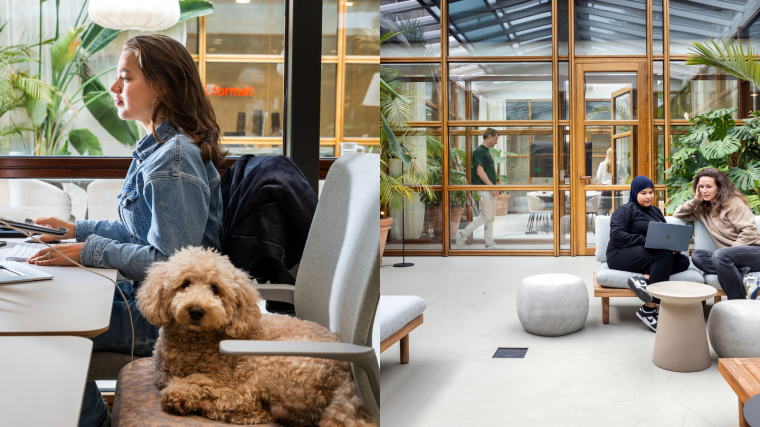 De Werkplek AndAgencyAmsterdam