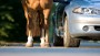 Ruiters wijzen andere weggebruikers op wat je doet als je een paard ontmoet