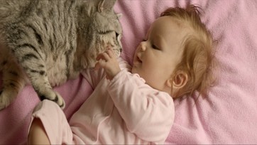 Campagne Roorda: Waar hield je liefde voor dieren op?